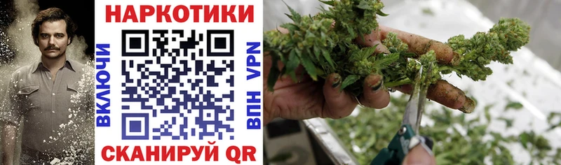 Где купить наркотики Ленинск мега ссылка ГАШ Каннабис А ПВП