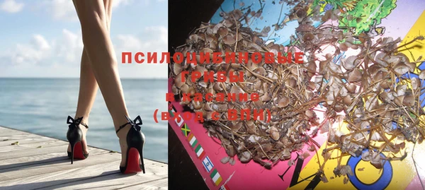 ешки Краснотурьинск
