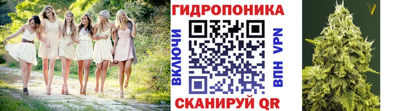 Марихуана план  сколько стоит  Ленинск 